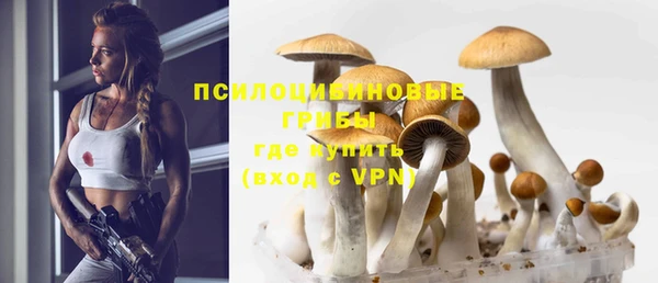 стафф Вязники