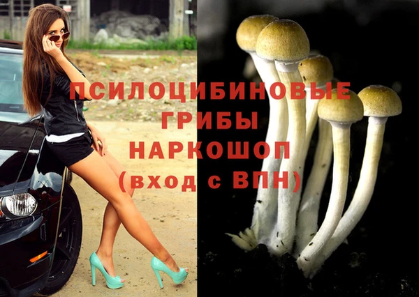 соль курить ск Бородино