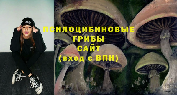 apvp Волосово